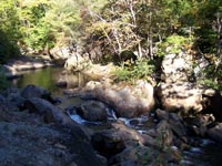 Big South Fork from Scenic Railway