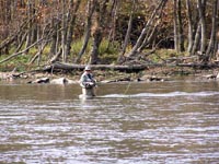 Fly Fishing on the Cumberland River